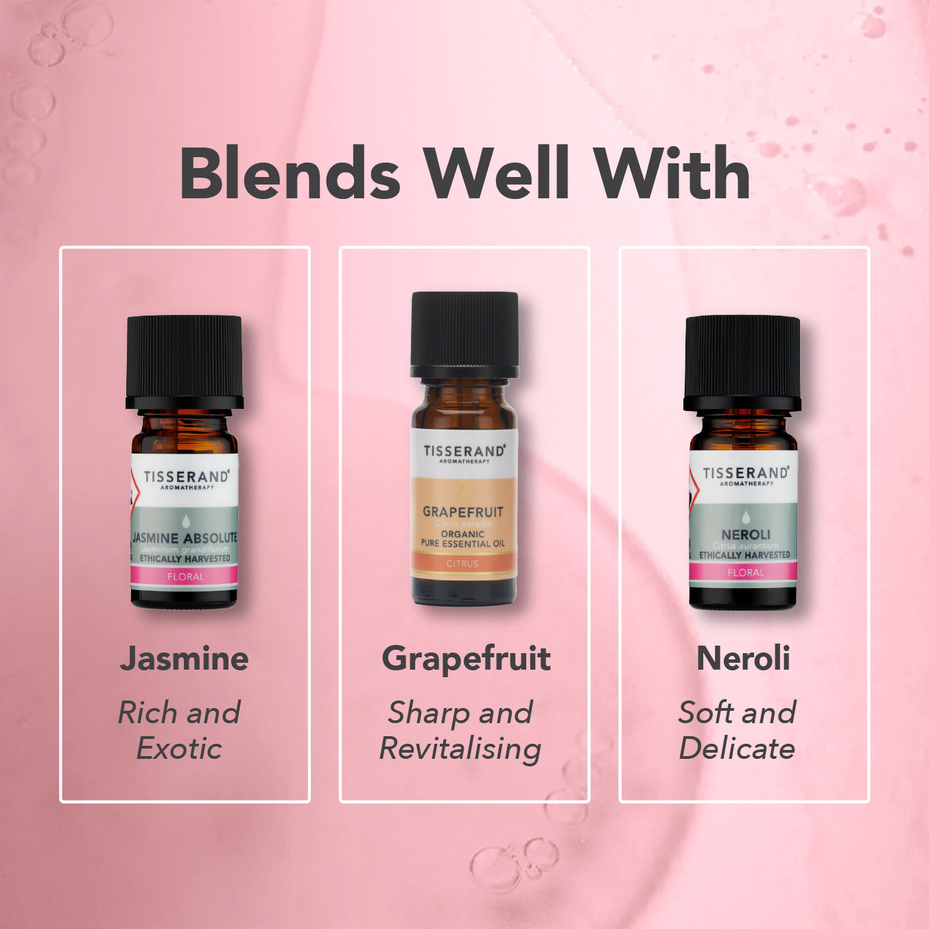 Rose Absolute Oil