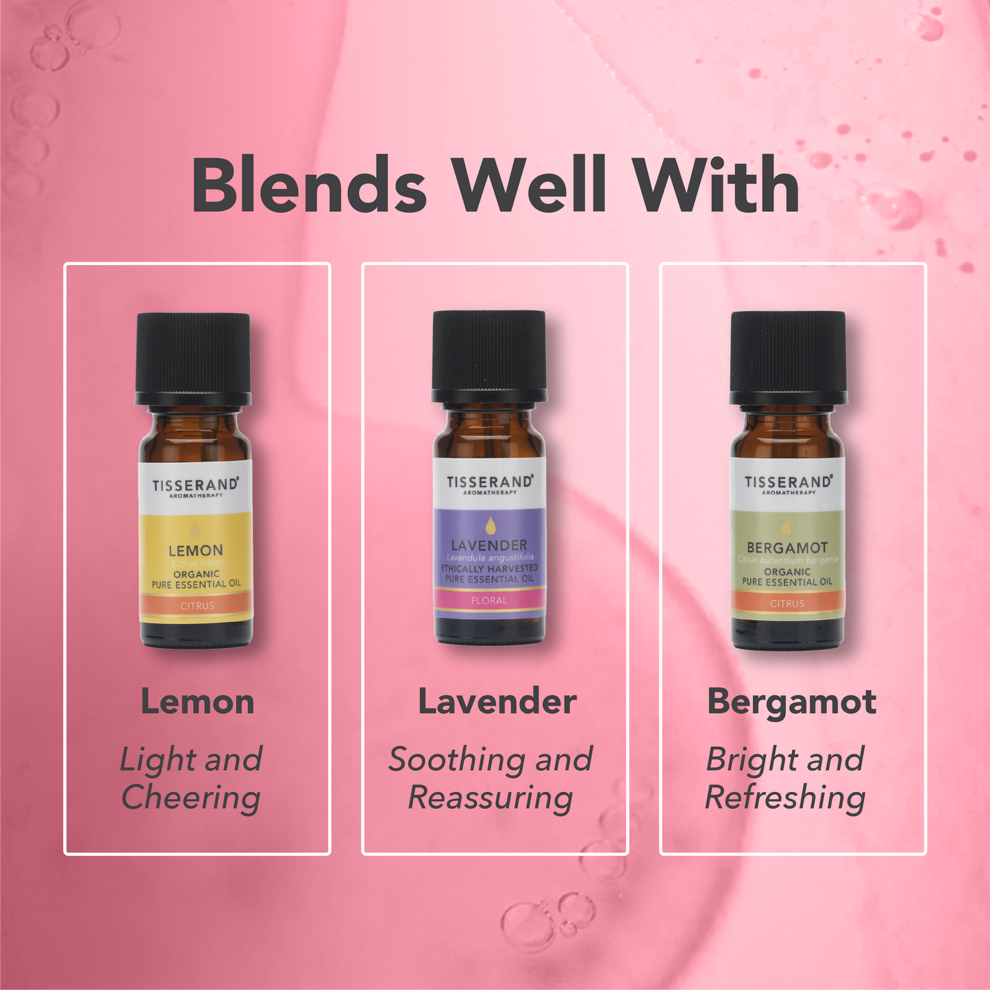Rose Otto Essential Oil