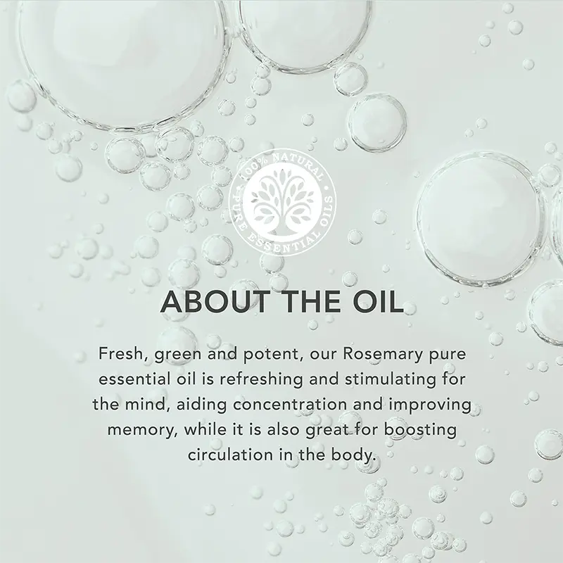 Rosemary About the Oil