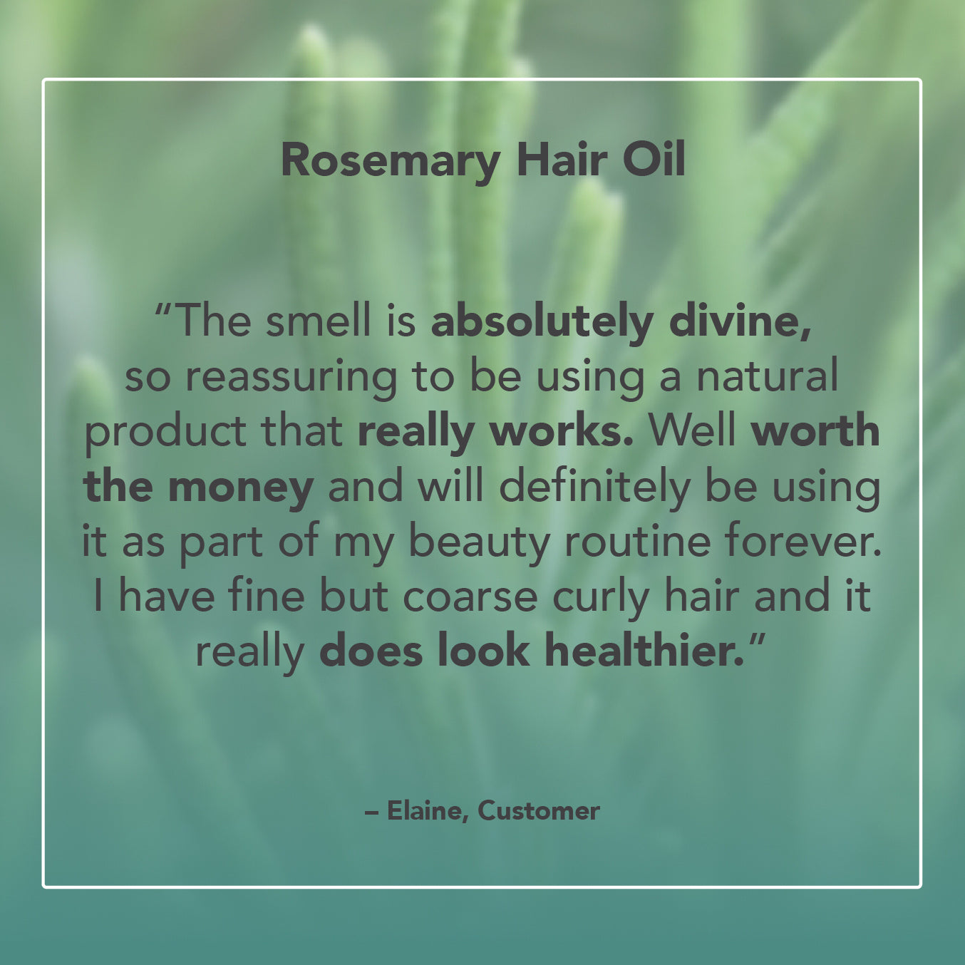 Rosemary Hair Oil