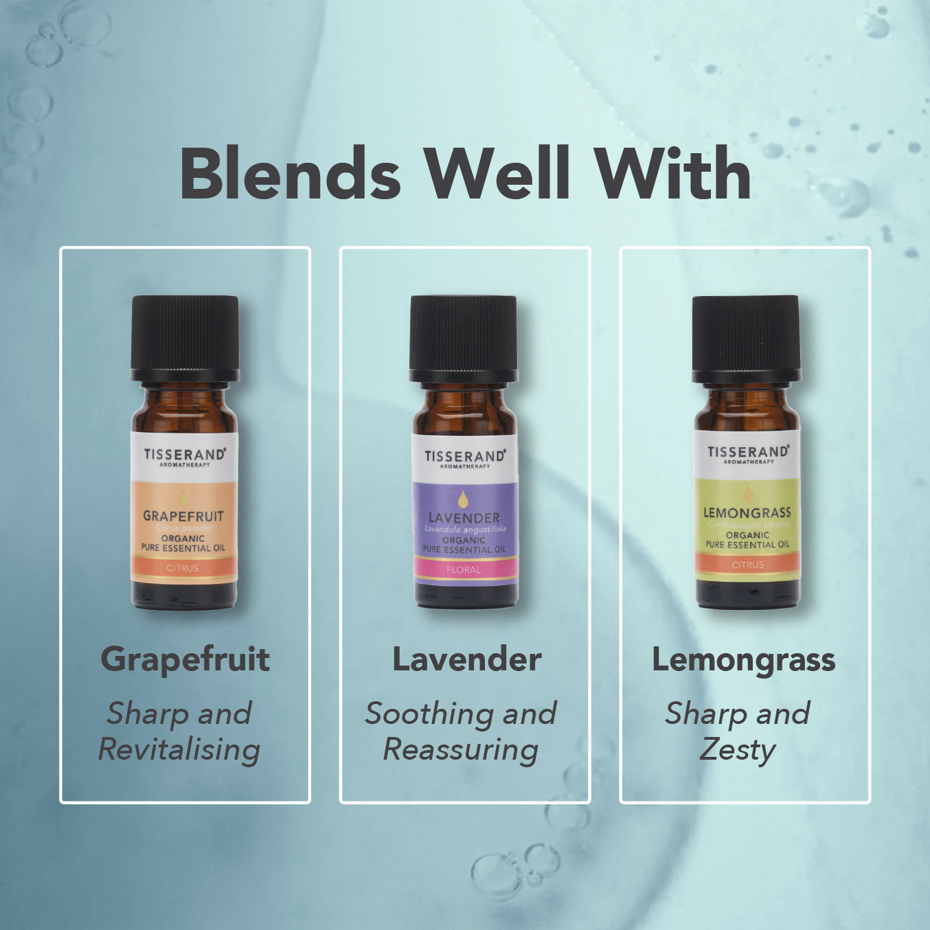 Rosemary Organic Essential Oil