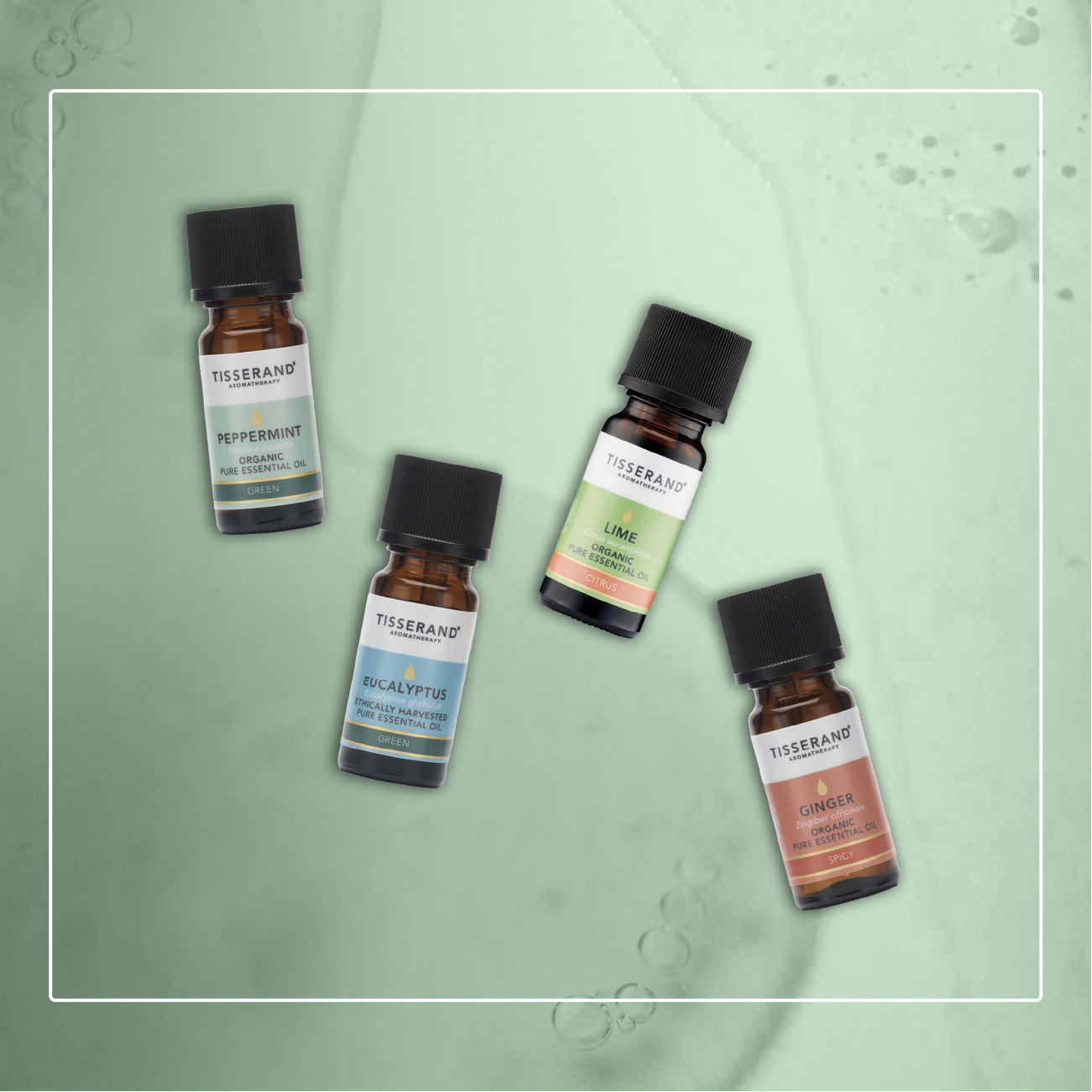 Smell Revival Collection