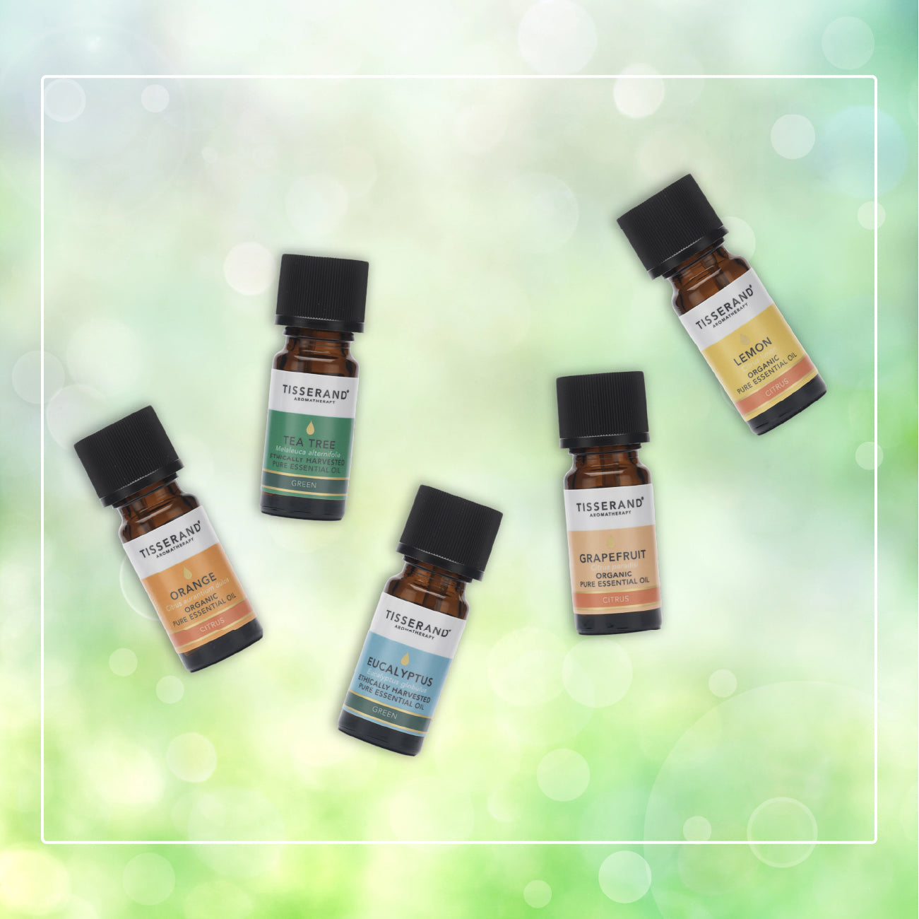Spring Clean Essential Oil Toolkit