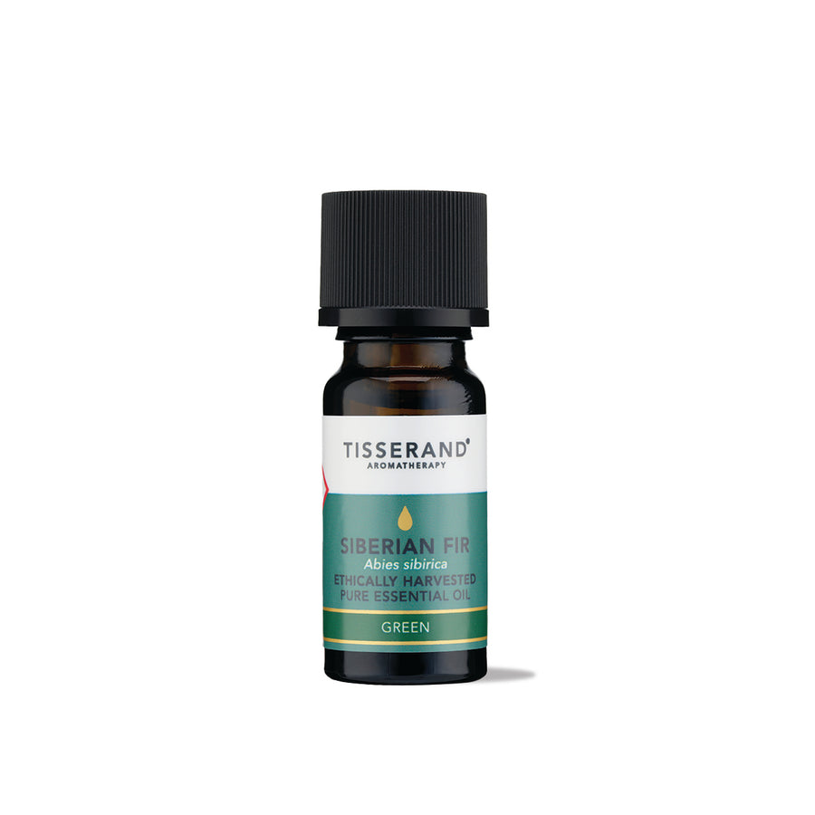 Siberian Fir Essential Oil
