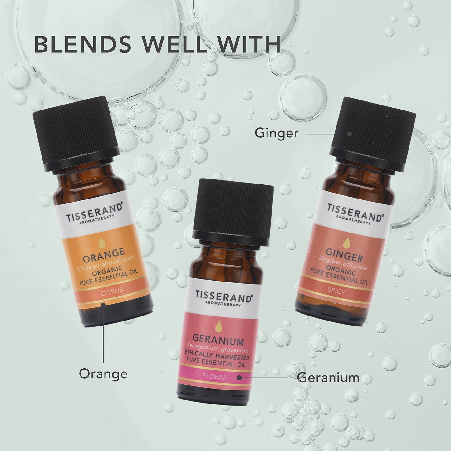 Cedarwood Atlas Essential Oil