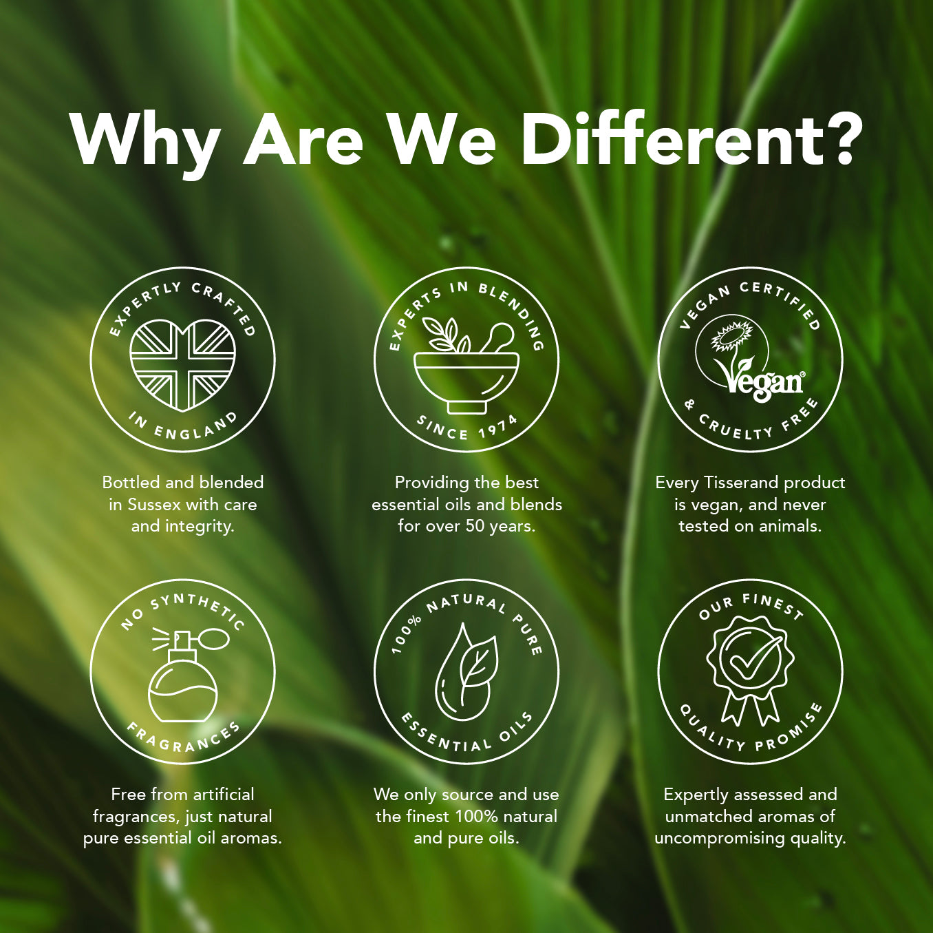 Little Wellbeing Wonders