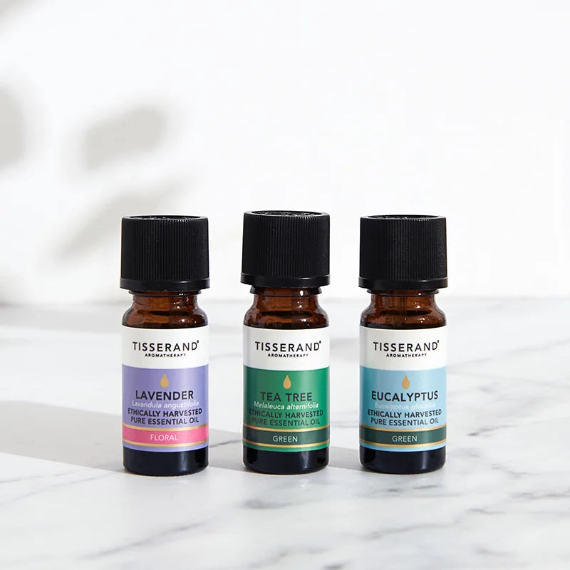Your Daily Essentials_2